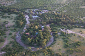 Отель Fig Tree Camp - Maasai Mara  Talek